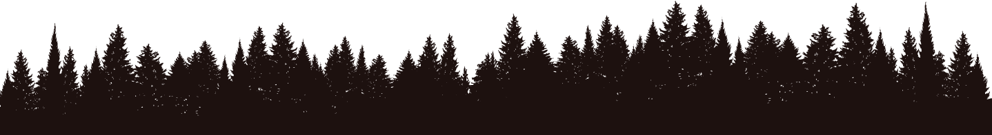Forest Silhouette