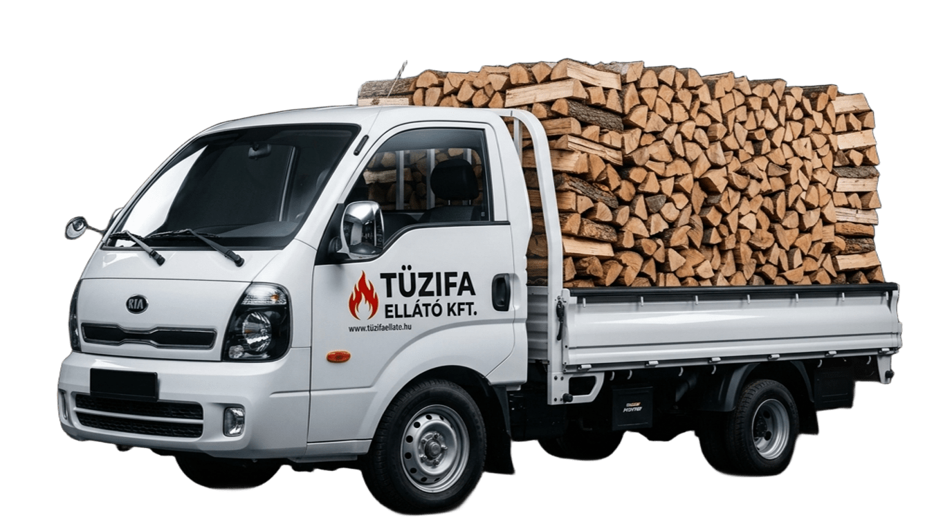 Tűzifa Ellátó KIA Delivery Truck