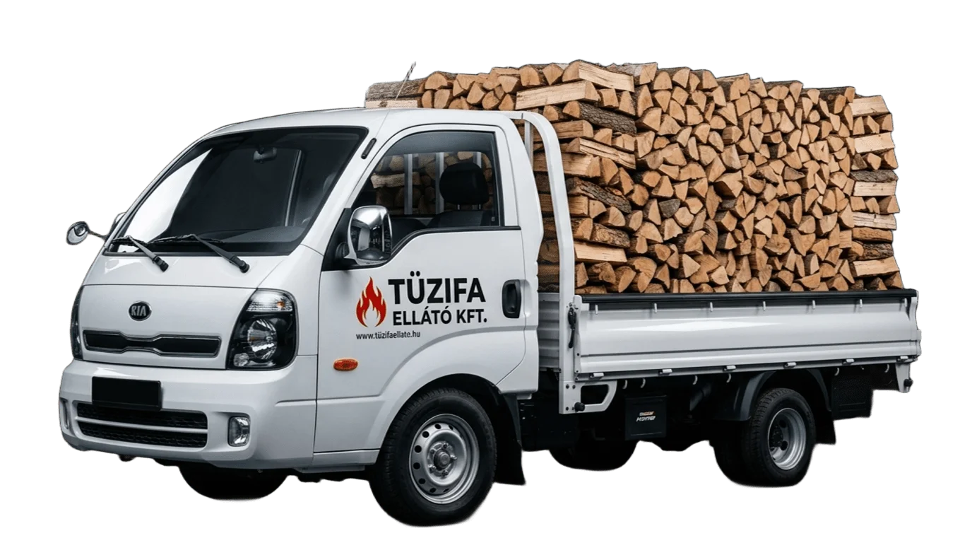 Tűzifa Ellátó KIA Delivery Truck